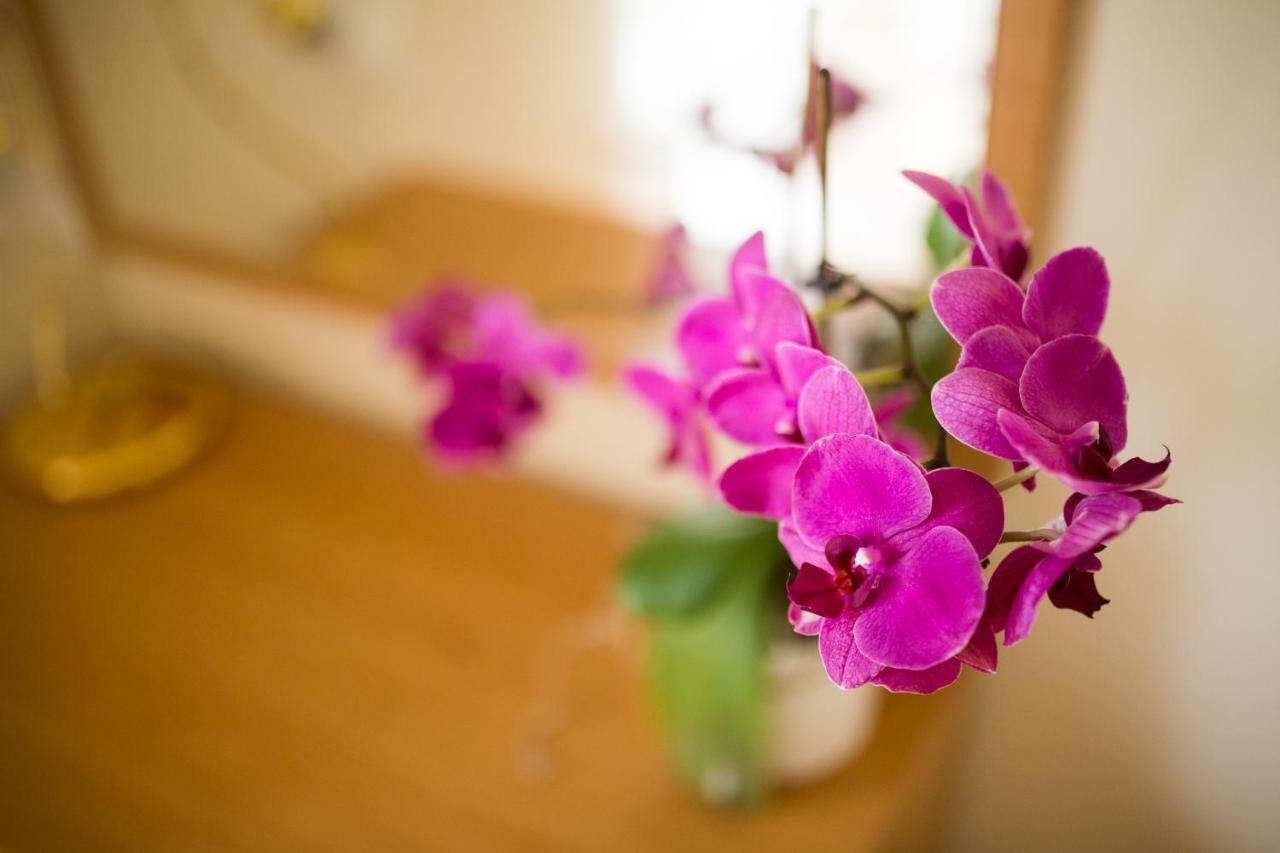 Apartments Villa Majda Matulji Dış mekan fotoğraf